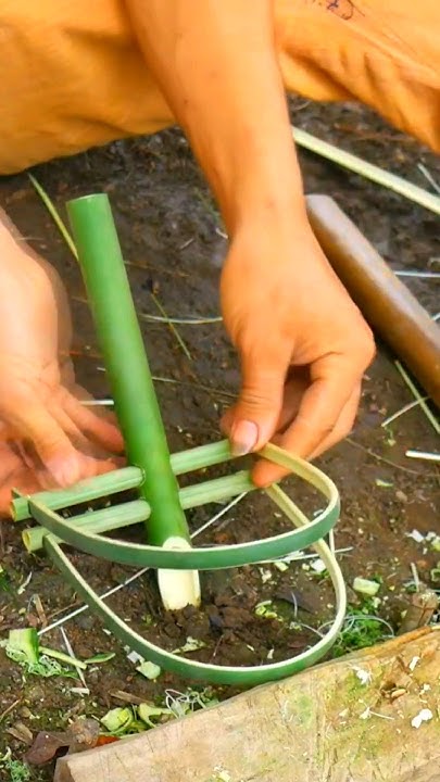 E2/4 #bamboo #greenrabbit #monkey #challenge #survival #petrabbit # ...