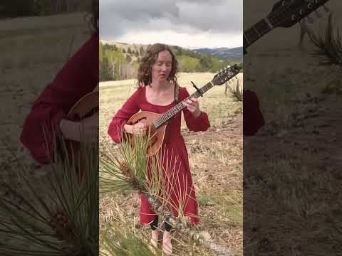 One of my all time favorite Celtic melodies #shorts #celtic #octavemandolin