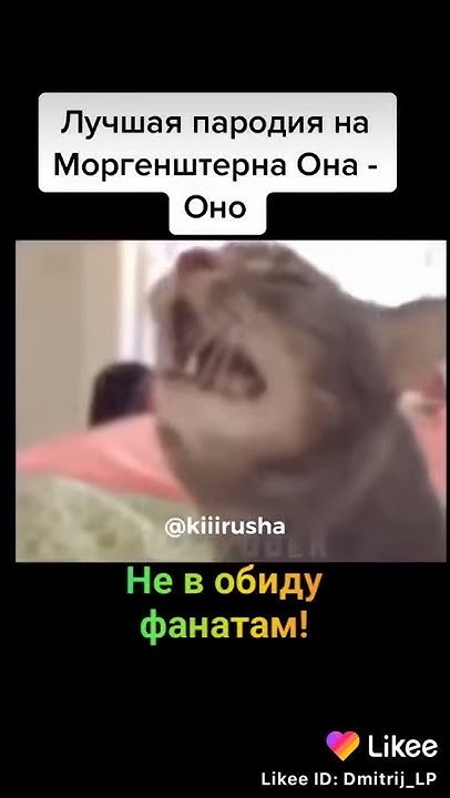 Она оно -моргенштерн - YouTube