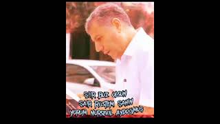 ŞİİR: BUZ OLSUN ŞAİR: RÜSTEM ŞAHIN