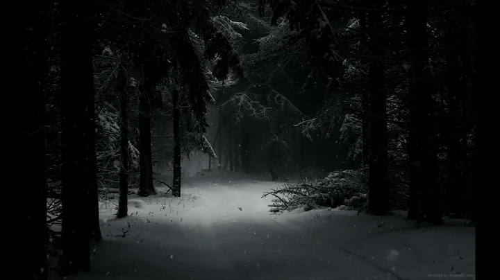 (432 hz) 3hour Loop ark patrol - let go slowed (instrumental +snow, experience sleep rehabilitation)