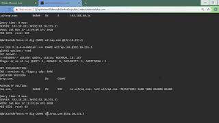 Linux Security - Reconnaissance: DNS: Basic Queries