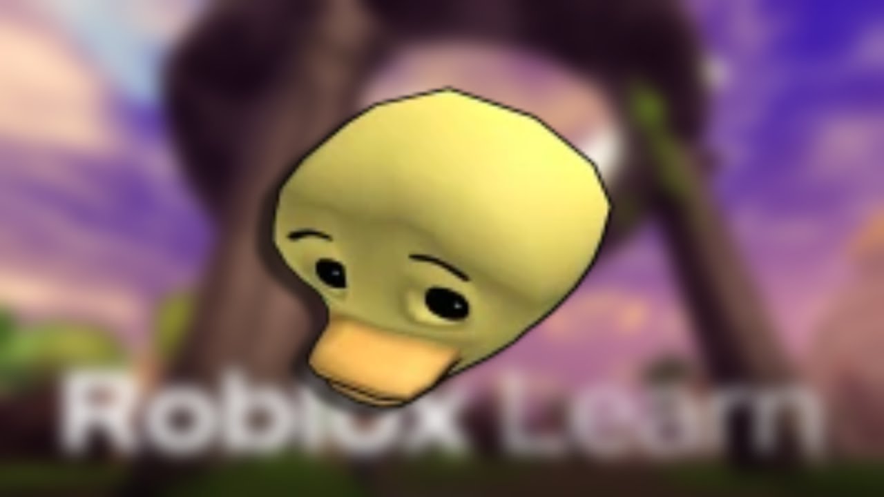 How To Get The Roblox Learn Ducky Head YouTube How to get the roblox learn ducky head youtube