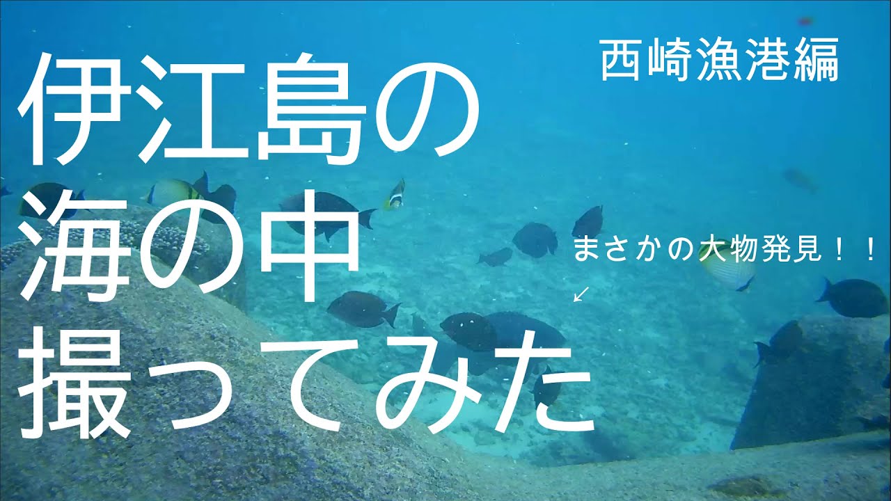 伊江島の海の中撮ってみた　西崎漁港編　水中映像