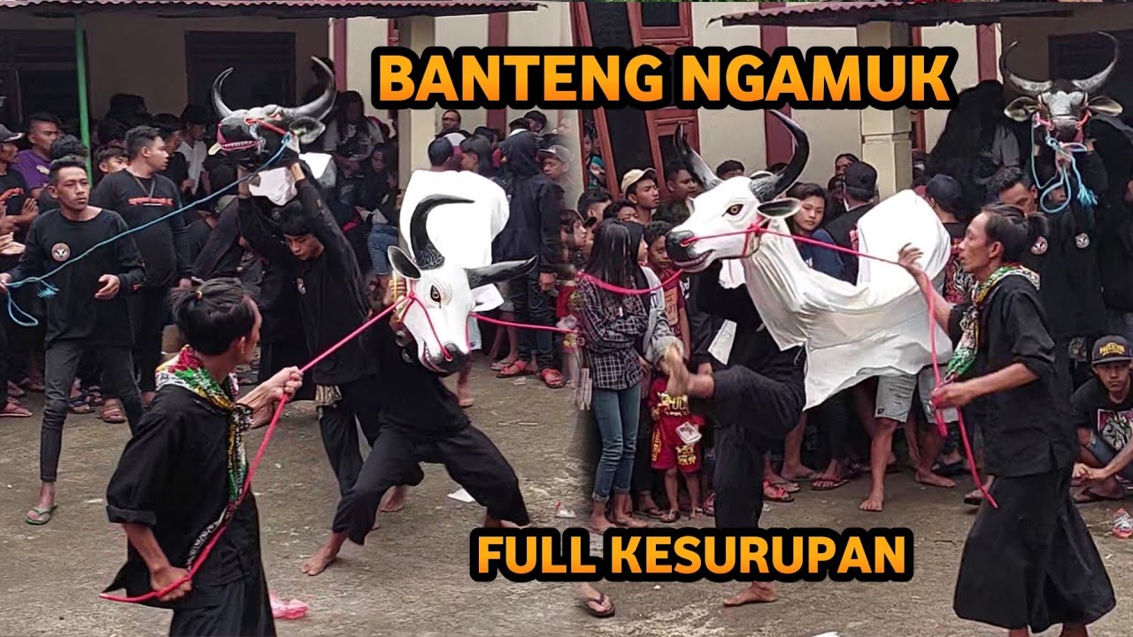 Bantengan Ngamuk Full Kesurupan Ki Ronggo Gunung Lawu Live Treceh Pacet Mojokerto