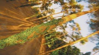 BLACK BIRD FPV - Chill Dancing
