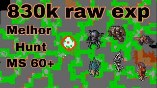 Hunt Solo MS 60+ Middle Spikes