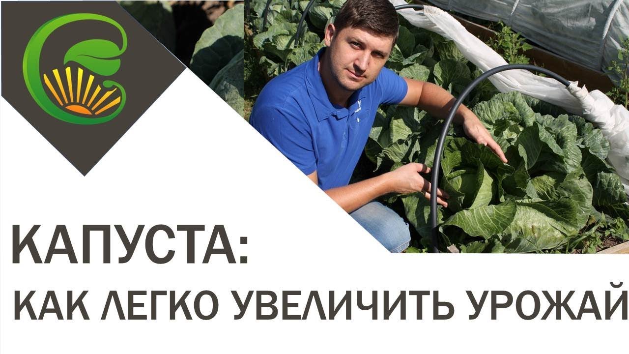 Методы защиты от вредителей