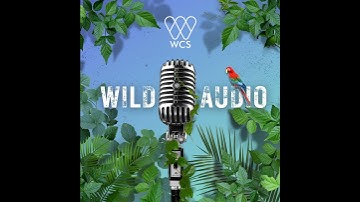 Special CITES Edition 2: A Push to Expand Global Protections for Sharks and Rays