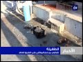 مواطنون بالطفيلة يشكون من ذبح