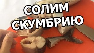 Как засолить скумбрию. Скумбрия пряного посола от Ивана!