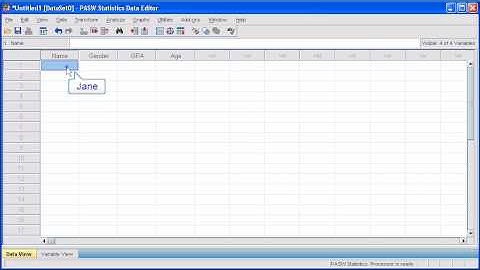 1.4 Enter Data: PASW (SPSS) Statistics v.17 video