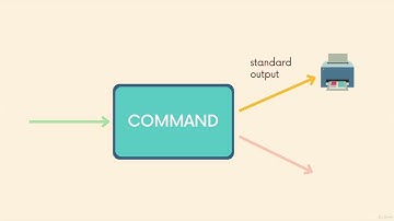 Introducing The Standard Streams