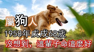 1958年出生的屬狗人一生，真的沒想到 ，這輩子命會這麼好，不看虧大了！#生肖狗#屬狗人#1958 狗