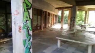 Cubot Dinosaur Video Sample (Full HD)