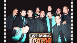 Video thumbnail of "TROPICALISIMO APACHE LICO LICOR EN VIVO"