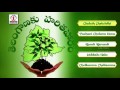 Haritha Haram Telangana Songs | Popular Telugu Songs Jukebox | Lalitha Audios And Videos Mp3 Song