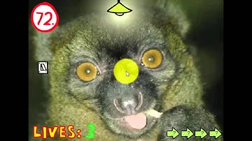 The Impossible Quiz Complete Walkthrough (PLEASE READ DESCRIPTION)