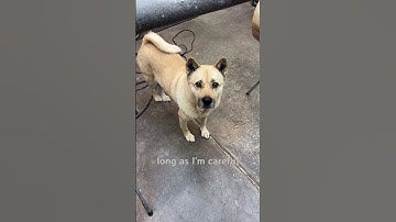 Part two of this build. #didgeridoo #woodworking #wood #diy