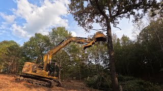 Cat 313 taking down big trees