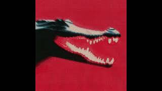 [FREE] DOECHII X SMINO TYPE BEAT CROCODILE