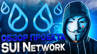 Подробный обзор Sui Network