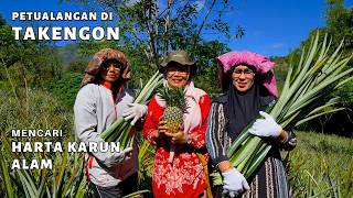 Download Lagu 5 Rahasia MENAKJUBKAN Tentang Keindahan Alam Aceh Tengah (Takengon) MP3 Download Lagu 5 Rahasia MENAKJUBKAN Tentang Keindahan Alam Aceh Tengah (Takengon) MP3