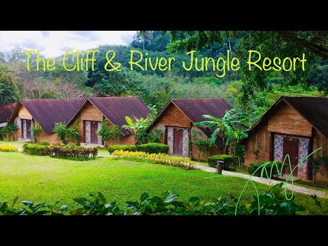 The Cliff & River Jungle Resort / Khao Sok - Phanom/ Best Staycation