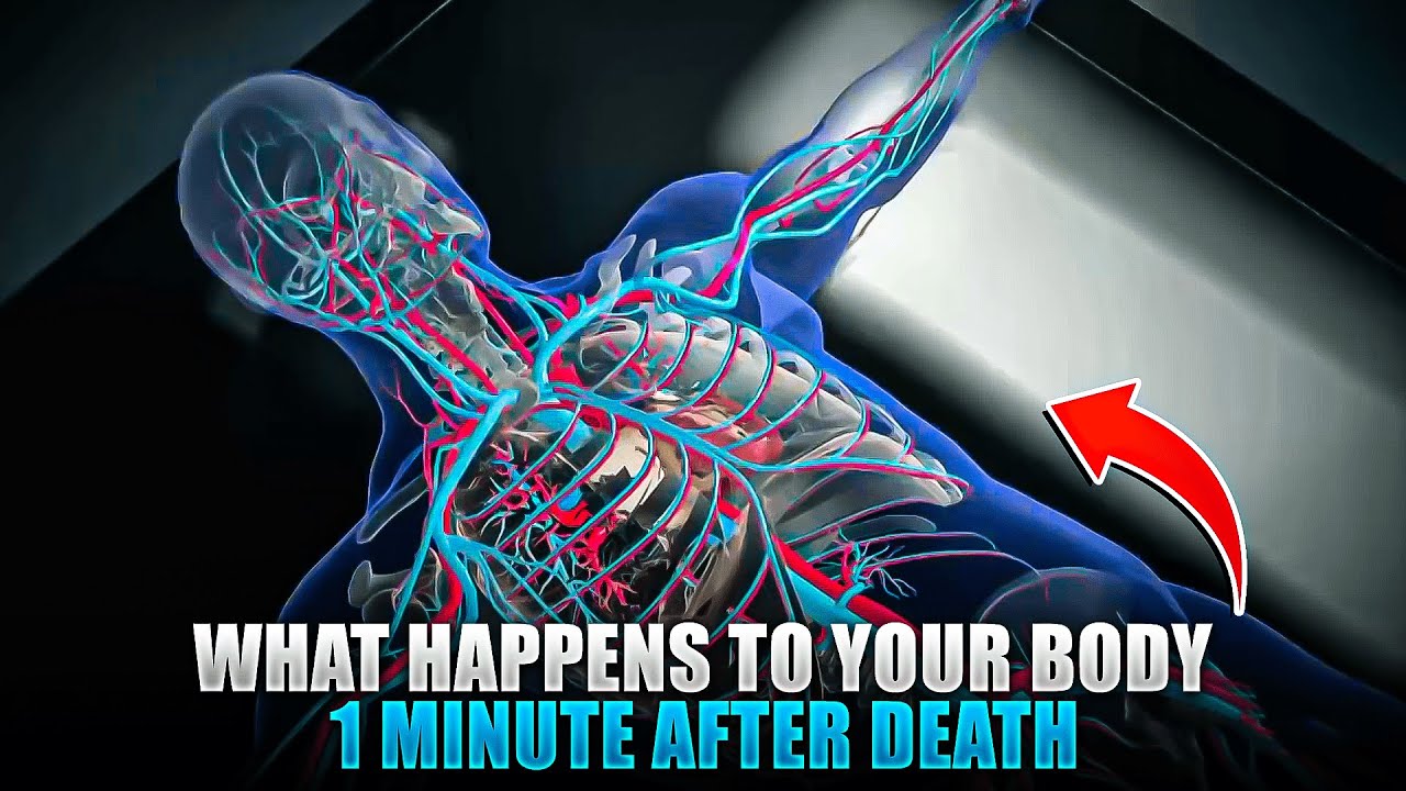 WHAT HAPPENS TO YOUR BODY 1 MINUTE AFTER YOU DIE YouTube