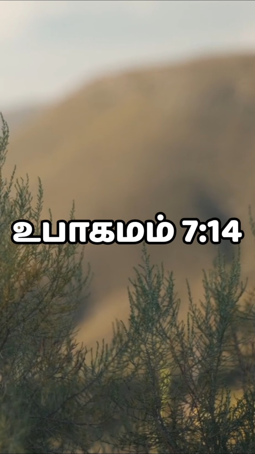 ✝️இயேசுவே ஜீவன் - ShareChat