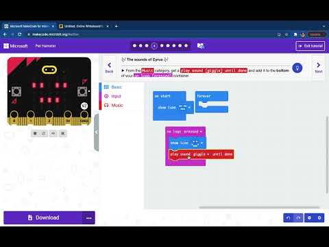 Creating 'Pet Hamster' on MakeCode through Tutorial