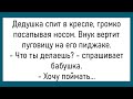 💎Жена Будит Мужа...Большой Сборник Смешных Анекдотов,Для Супер Настроения!