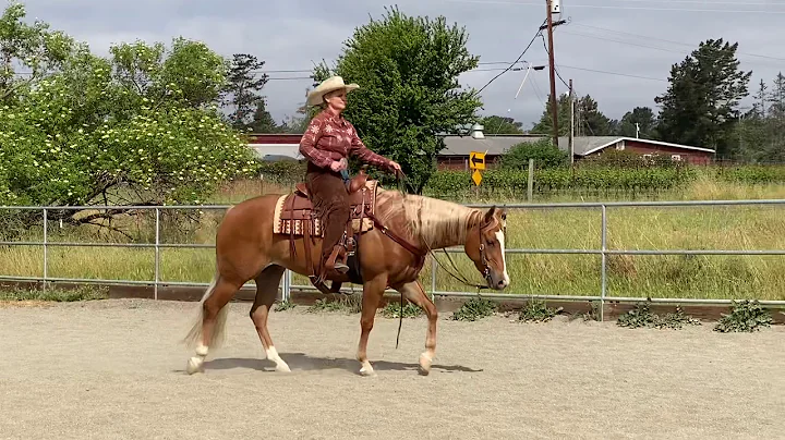 Ruf Ya Up - Melissa Zanetti - Rail