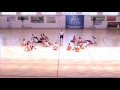 Micro Handball-Midi Handball by Wolfgang Pollany