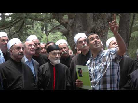 جايين يا أرز الجبل