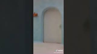 Aussie Pingu Learns What His Dad Job Is