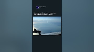 "Speed Perception: Motion Parallax or Relative Velocity?"