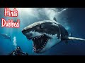 The Shallows Hindi Dubbed Full Movie 2016 