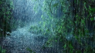 Summer Rain Meditation 1 Hour