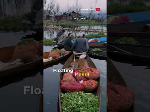 Wideo: Na dal Lake Kaszmir?