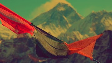 Sherpa: Modular Synth / Eurorack, Bitbox, Five12 Vector, 0-Coast,  Strymon, 4ms, Mimeophon, Qu-Bit