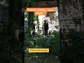Atrakcje w altanie #Kraków#park#koncert #muzyka #śpiew #lato #niedziela