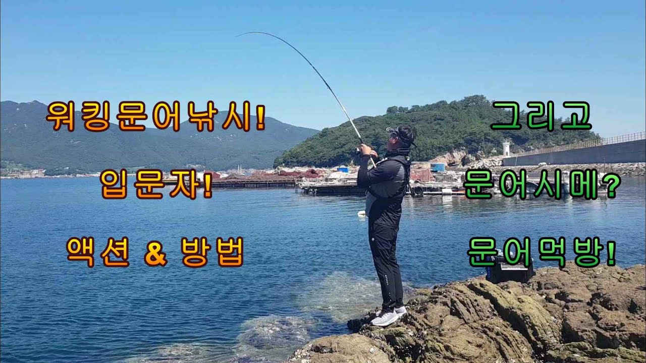[락피쉬맨의 루어낚시] 워킹문어낚시 입문자를 위한 낚시방법 그리고 문어시메???