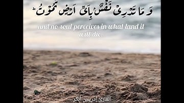 سورة لقمان بصوت الشيخ إدريس أبكر/Surah Luqman by Sheikh Idress Abkar @idressabkar-quran