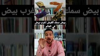 بيض سمك القرش اغرب بيض في العالم