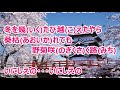 華は立つ/北野まち子 カラオケ