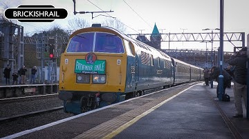 Fond Farewell | The Pathfinder Finale - D1015 