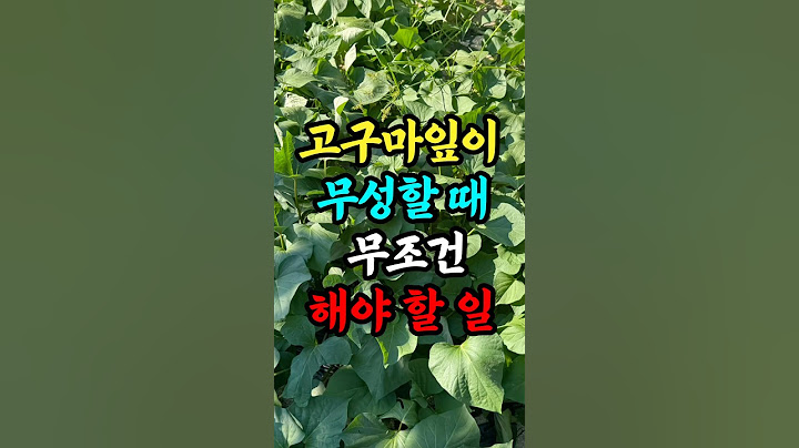 Things you absolutely must do when sweet potato leaves are lush