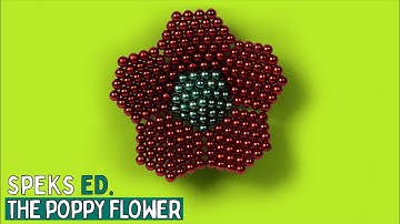 Speks Ed: Poppy Flower