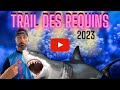 Trail des requins202320km inside by run addictive